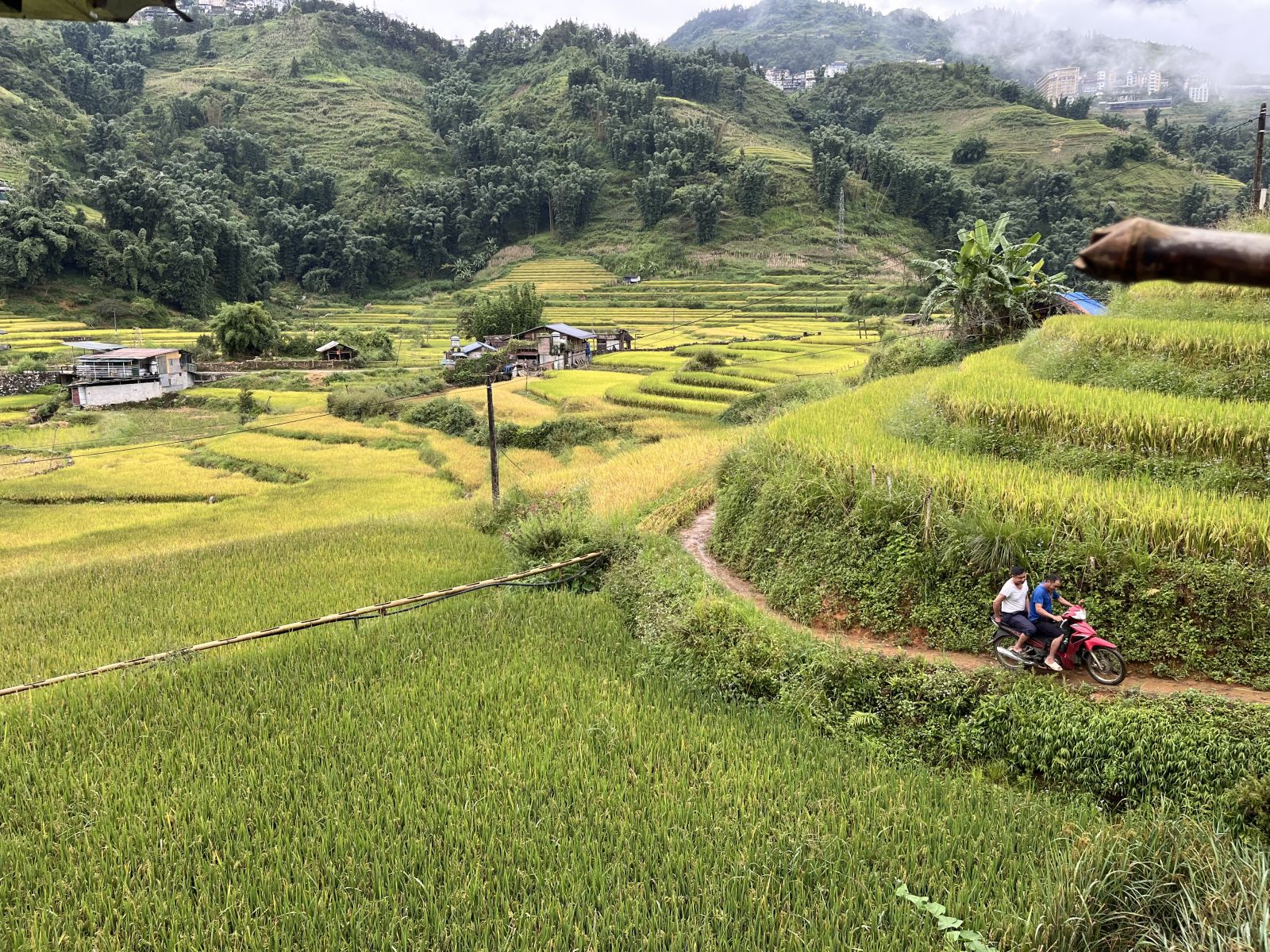 Sapa 1 Sapa 1