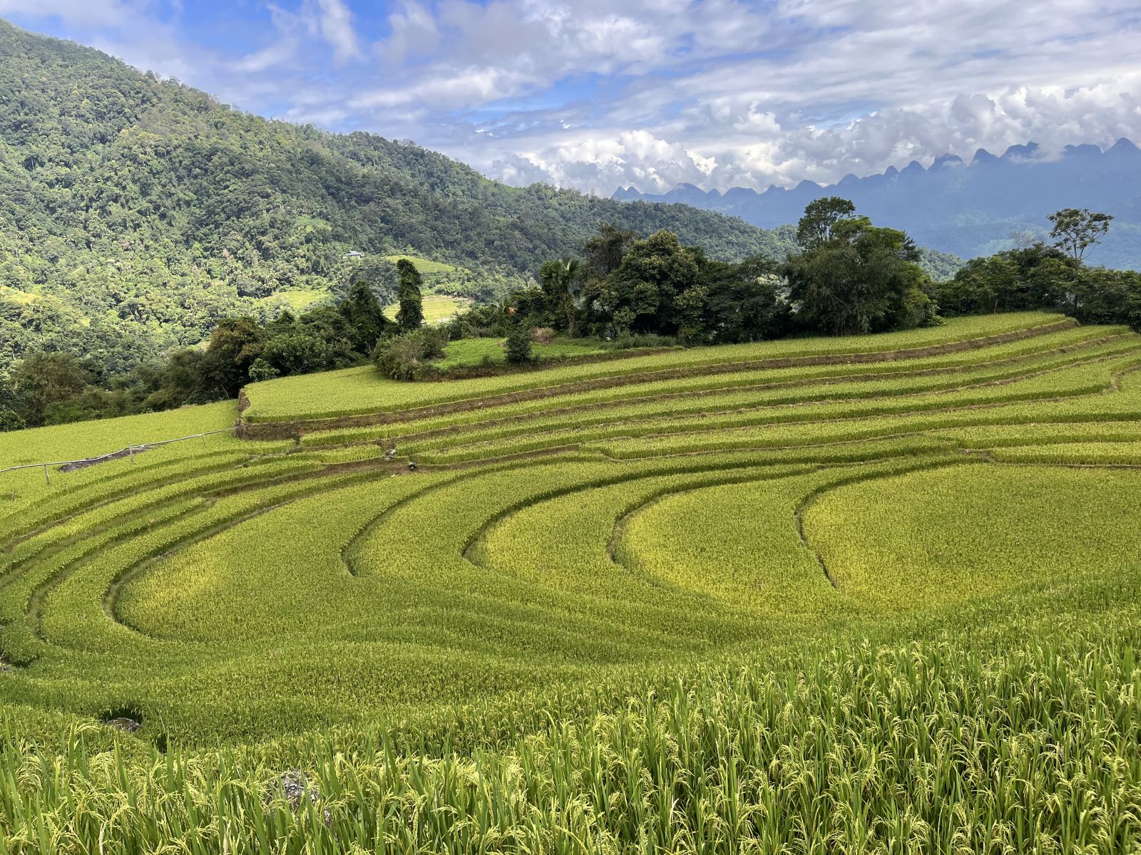 Ha Giang 4