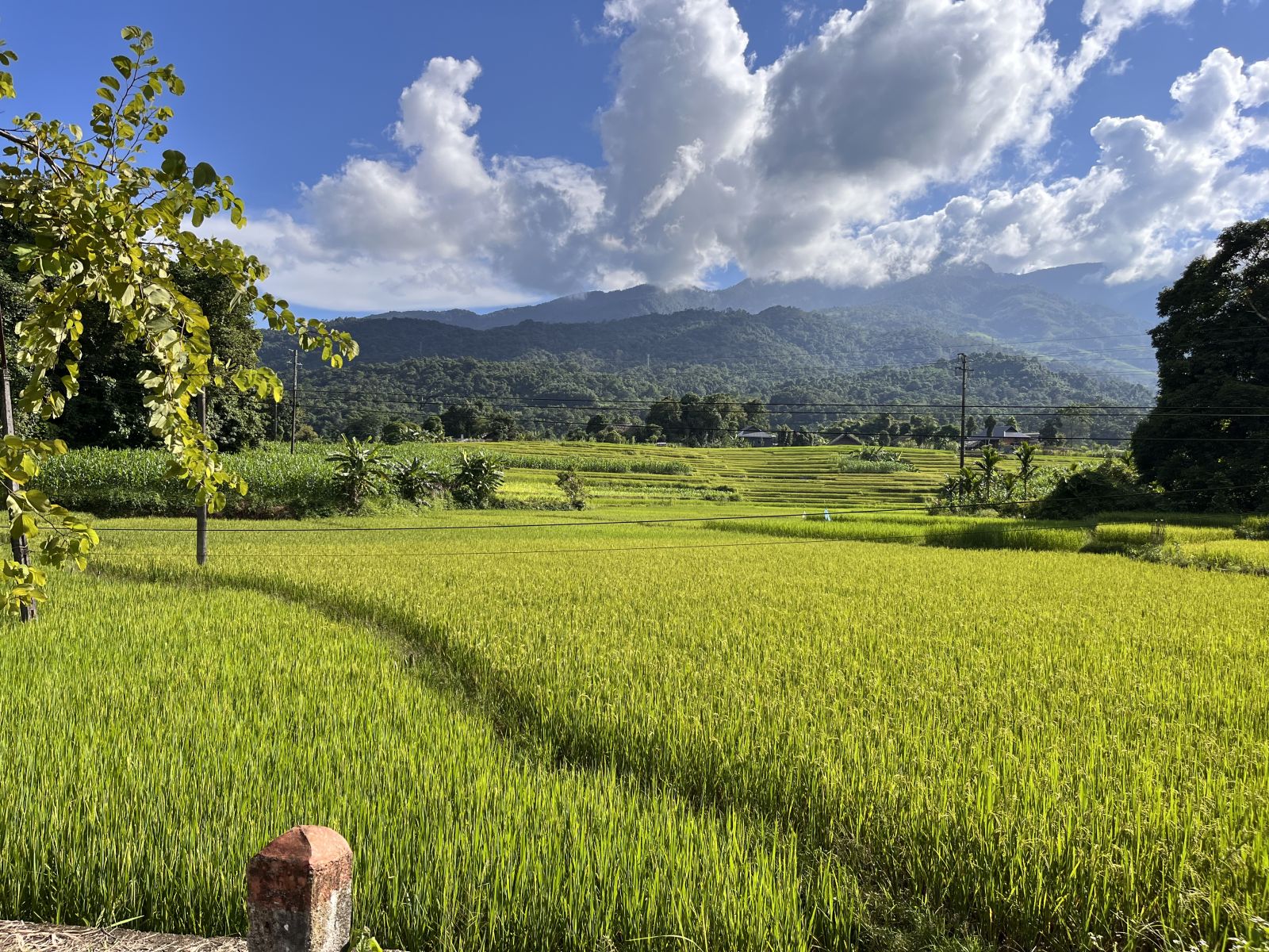 Ha Giang 7